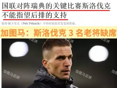 星空体育-瑞典主场不敌西班牙，斯洛伐克喜获晋级资格